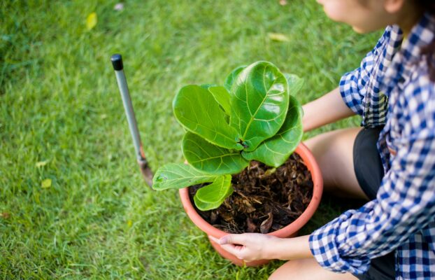 International Environmental Education Day: Bridging the Gap Between Civil Infrastructure and Wildlife Conservation