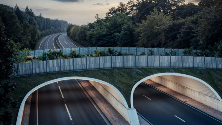 How wildlife crossings mitigate the dangers of development - ViaCon Group