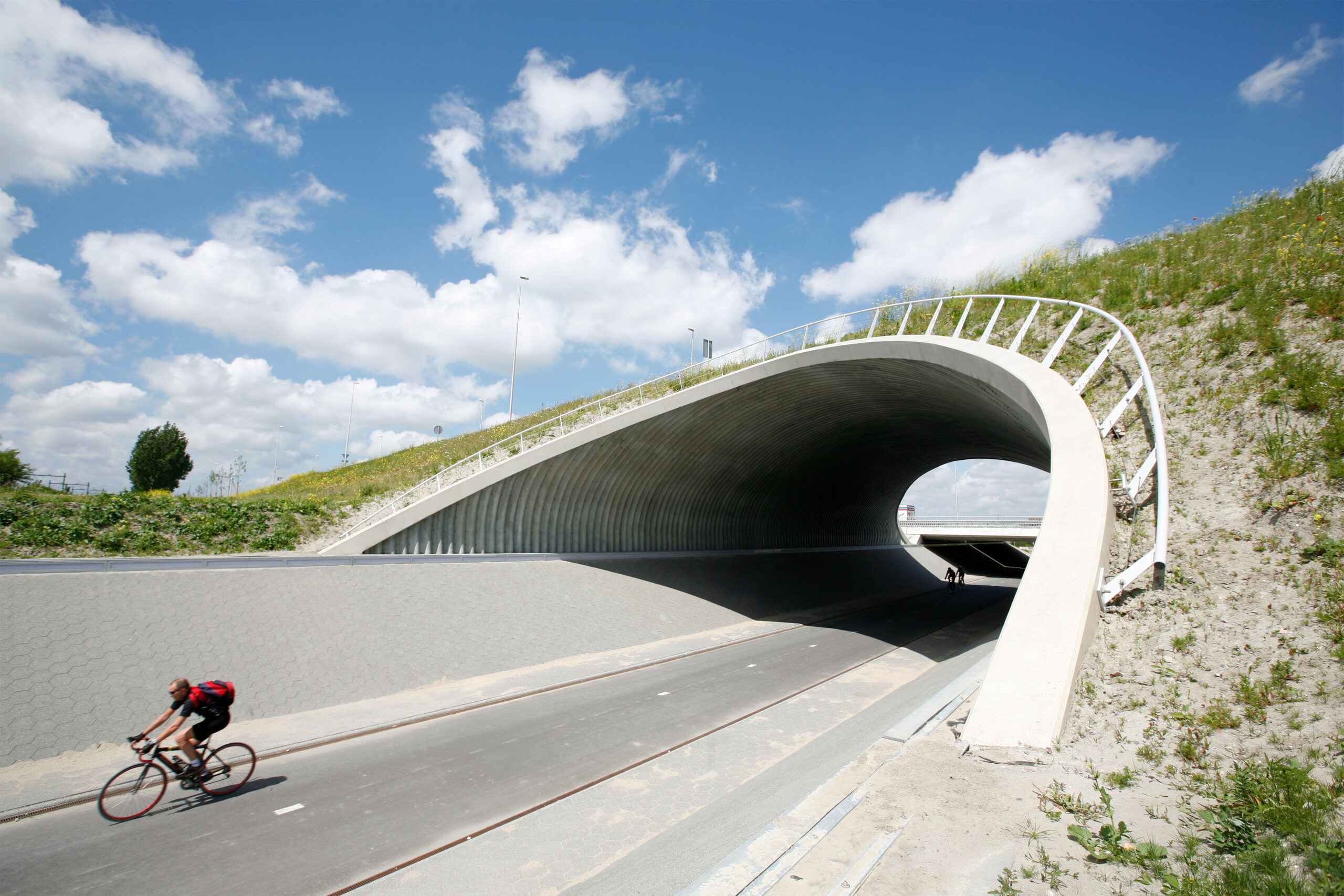 Newsletter Q2 2025: Supporting sustainability: ESG at ViaCon