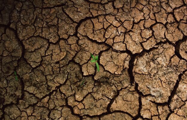 Combating Drought with Smart Infrastructure Solutions