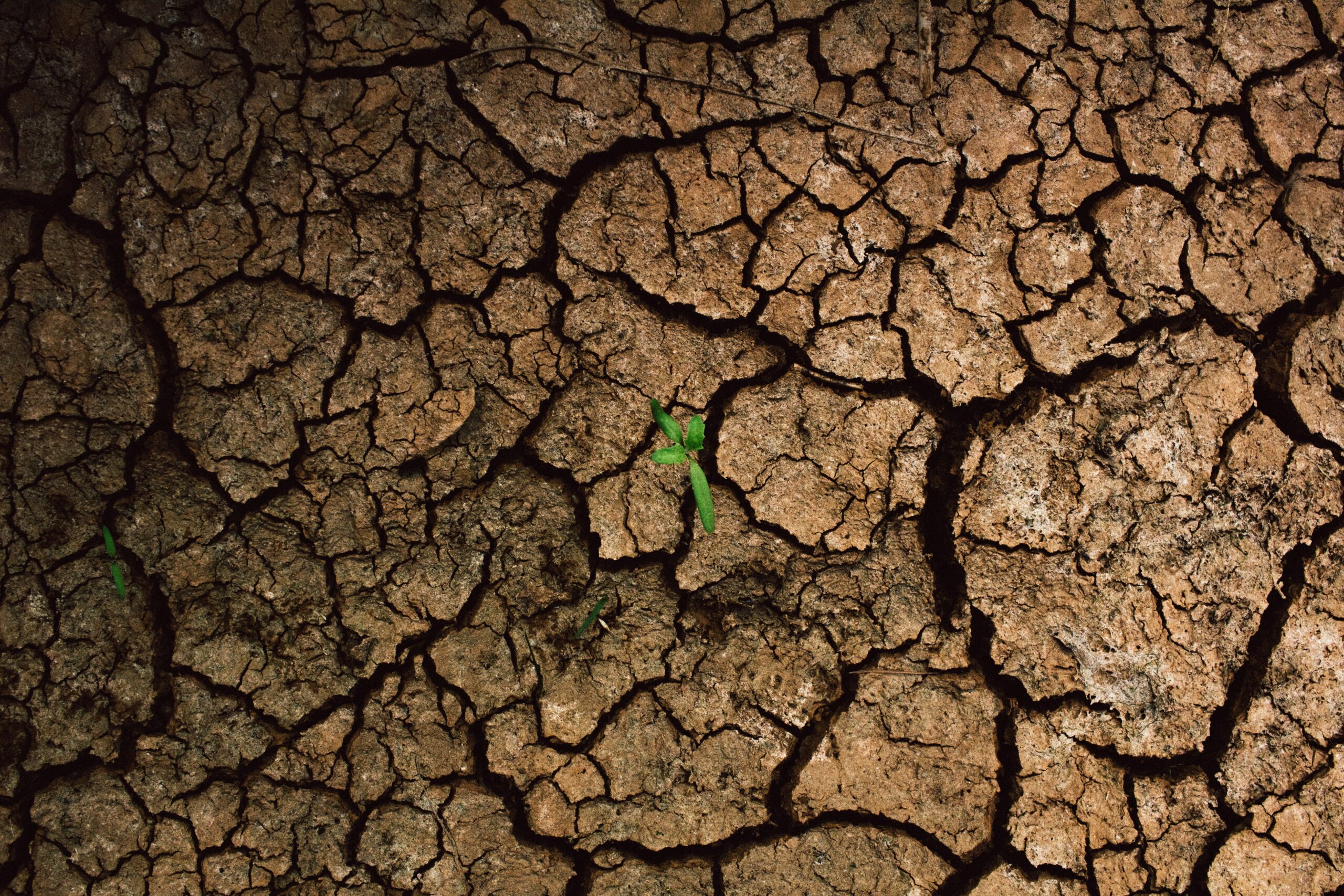 Combating Drought with Smart Infrastructure Solutions